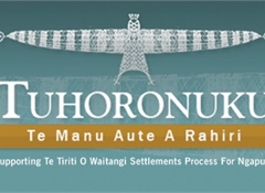 91% of Ngapuhi consider treaty settlement, unity important